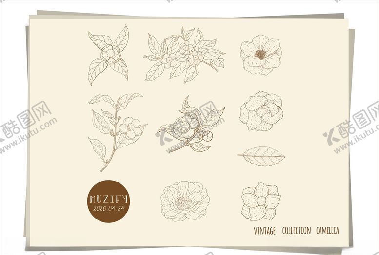 编号：29781210191915595242【酷图网】源文件下载-茶花手绘稿