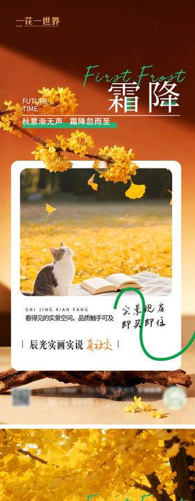地产二十四节气霜降海报系列稿