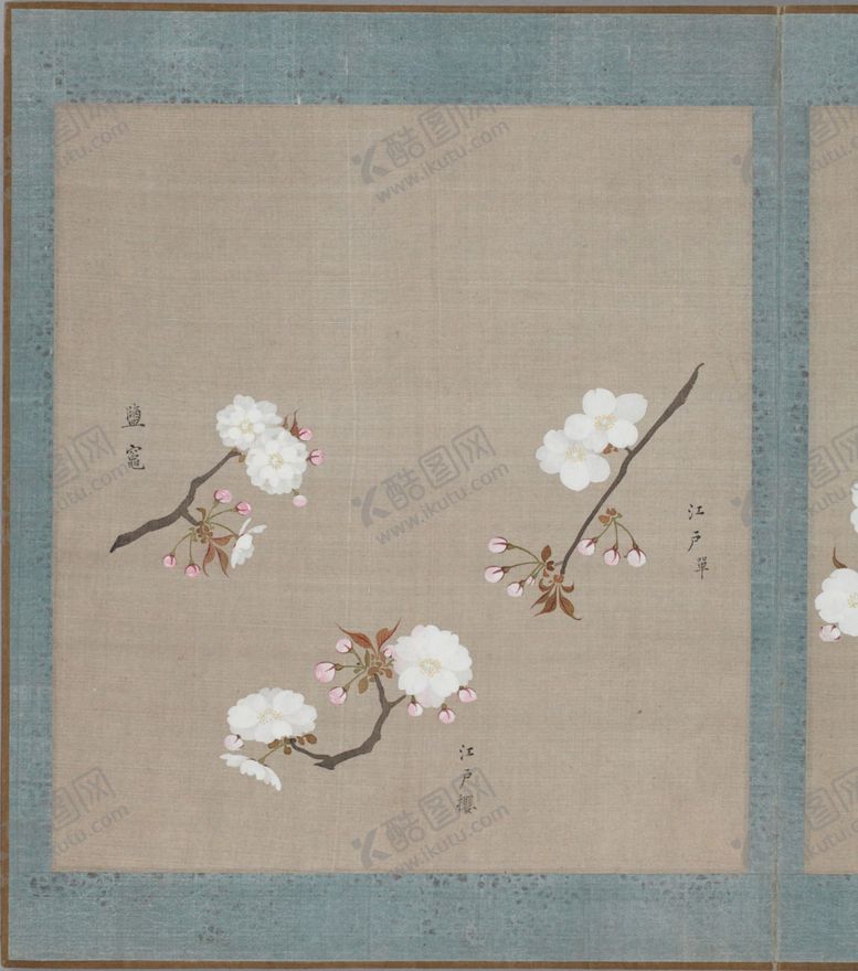 编号：10165603270752461600【酷图网】源文件下载-樱花