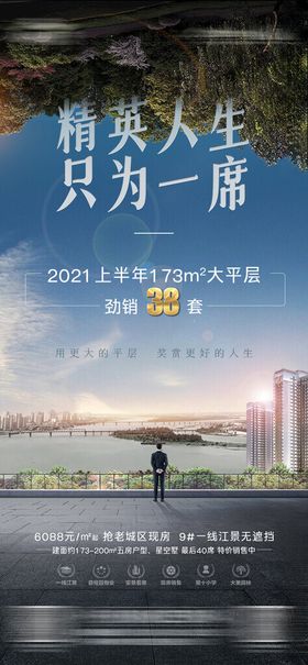 江景大平层海报