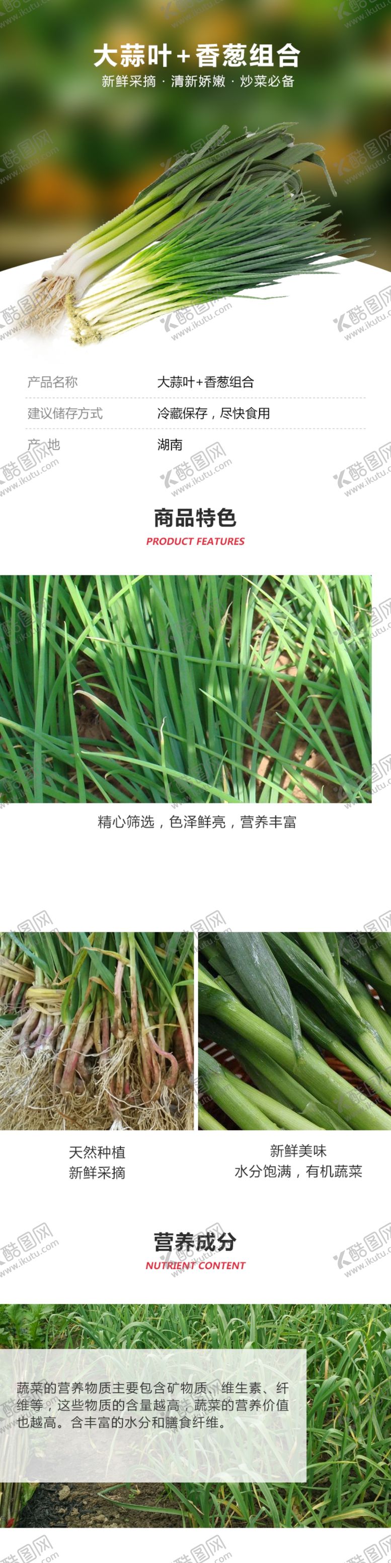 编号：62162510260304219602【酷图网】源文件下载-大蒜叶香葱组合详情页