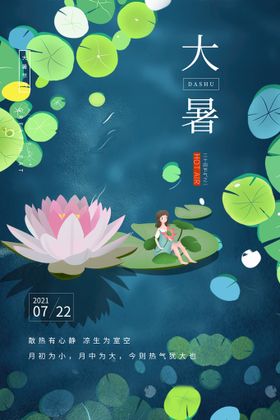 二十四节气 插画海报