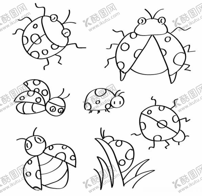 编号：81025807052214395951【酷图网】源文件下载-瓢虫