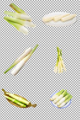 茭白