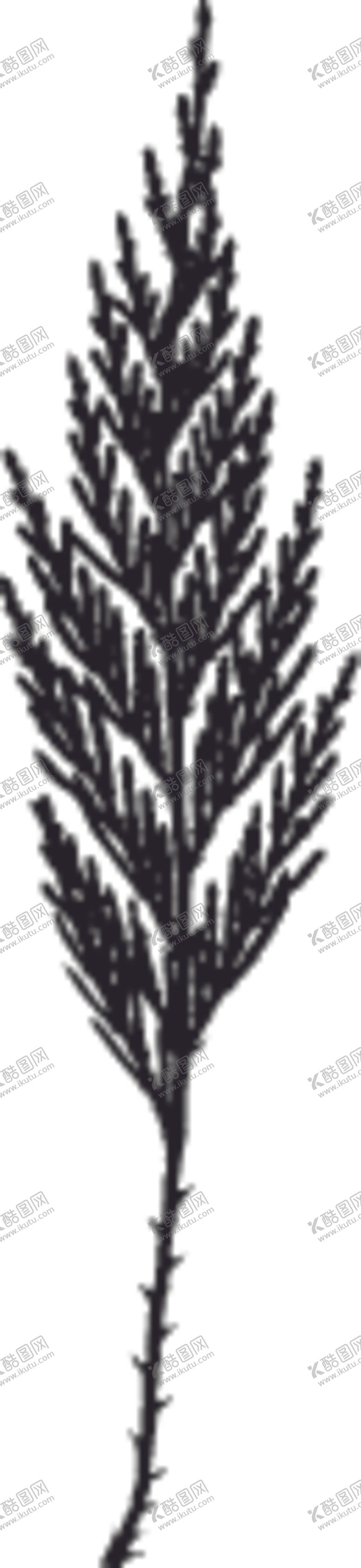 编号：27632710100628426745【酷图网】源文件下载-植物系列树叶