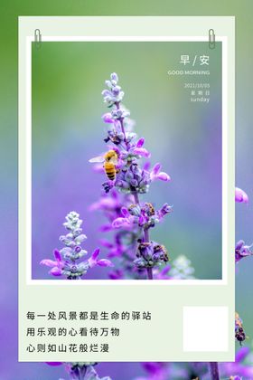 早安海报