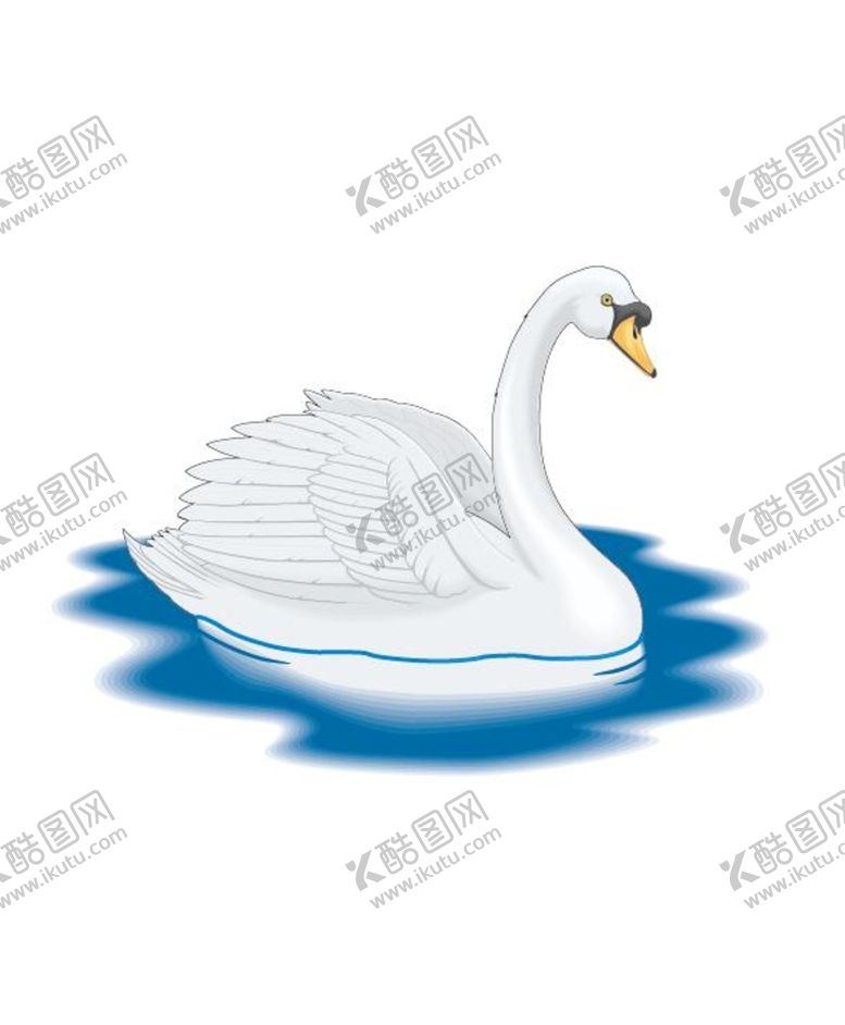 编号：28252911210955543564【酷图网】源文件下载-天鹅