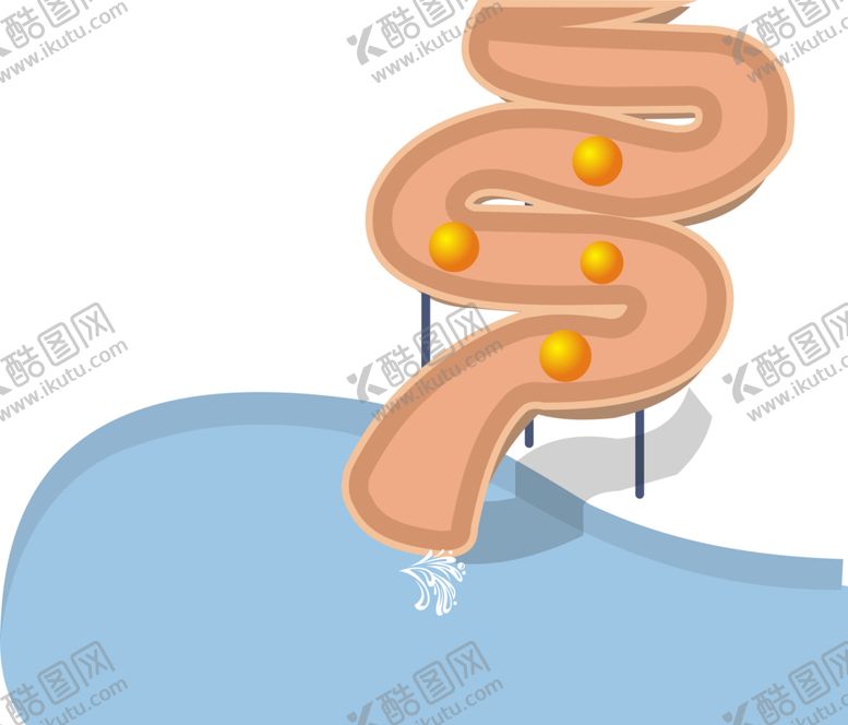 编号：30045609240134346640【酷图网】源文件下载-肠道