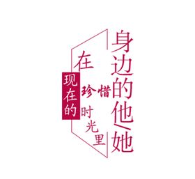 身边的小植物封面