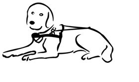 导盲犬