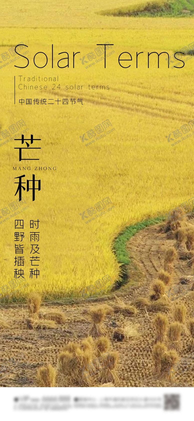编号：38362801291547163080【酷图网】源文件下载-芒种节气海报