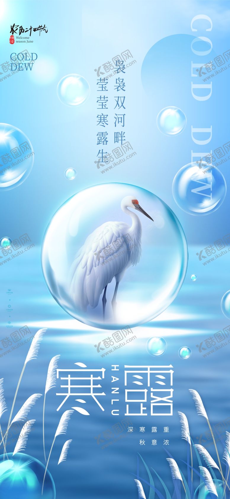 编号：79644602250302181522【酷图网】源文件下载-二十四节气之寒露海报