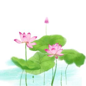 荷花元素