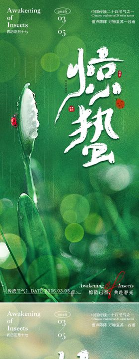 惊蛰荷花祝福海报