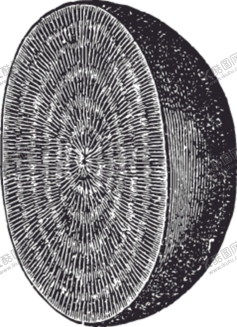 编号：35370410061329486008【酷图网】源文件下载-素描手绘蔬菜