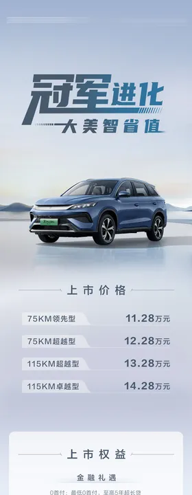 汽车政策长图