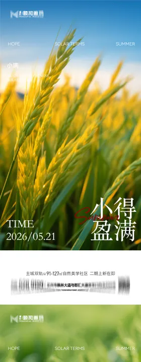 小满麦田二十四节气节日海报2026