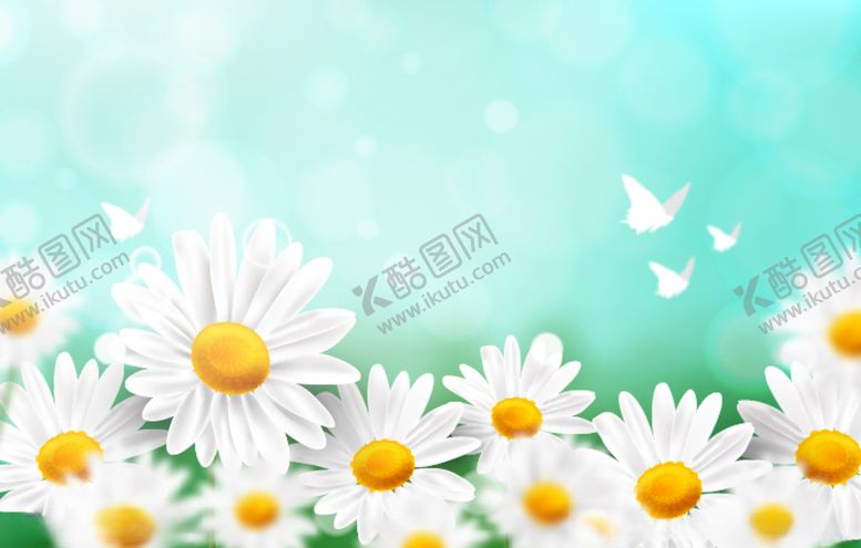 编号：68144809101845591334【酷图网】源文件下载-白色小雏菊