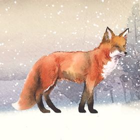 野生动物插图