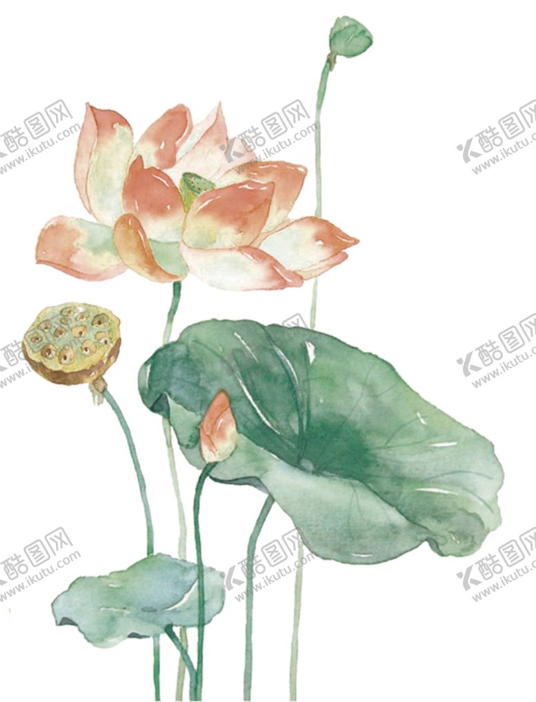 编号：58439305020239483866【酷图网】源文件下载-荷花元素