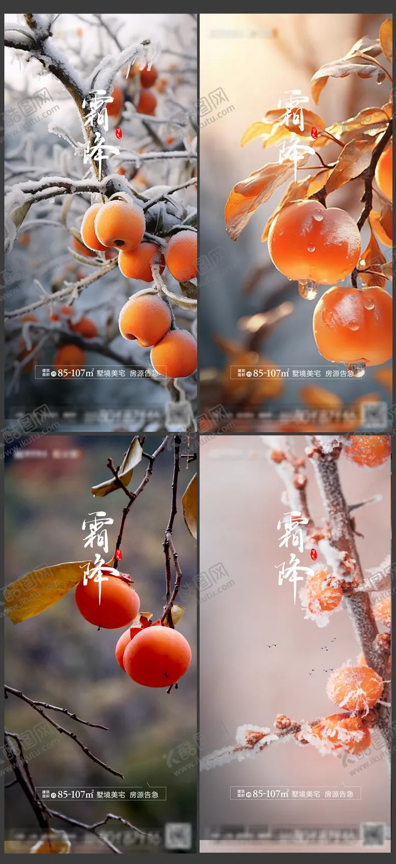 编号：88247612041604239666【酷图网】源文件下载-霜降节气系列海报