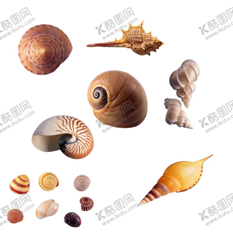 编号：61509710170448472722【酷图网】源文件下载-海螺