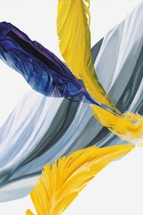 羽毛玄关装饰画