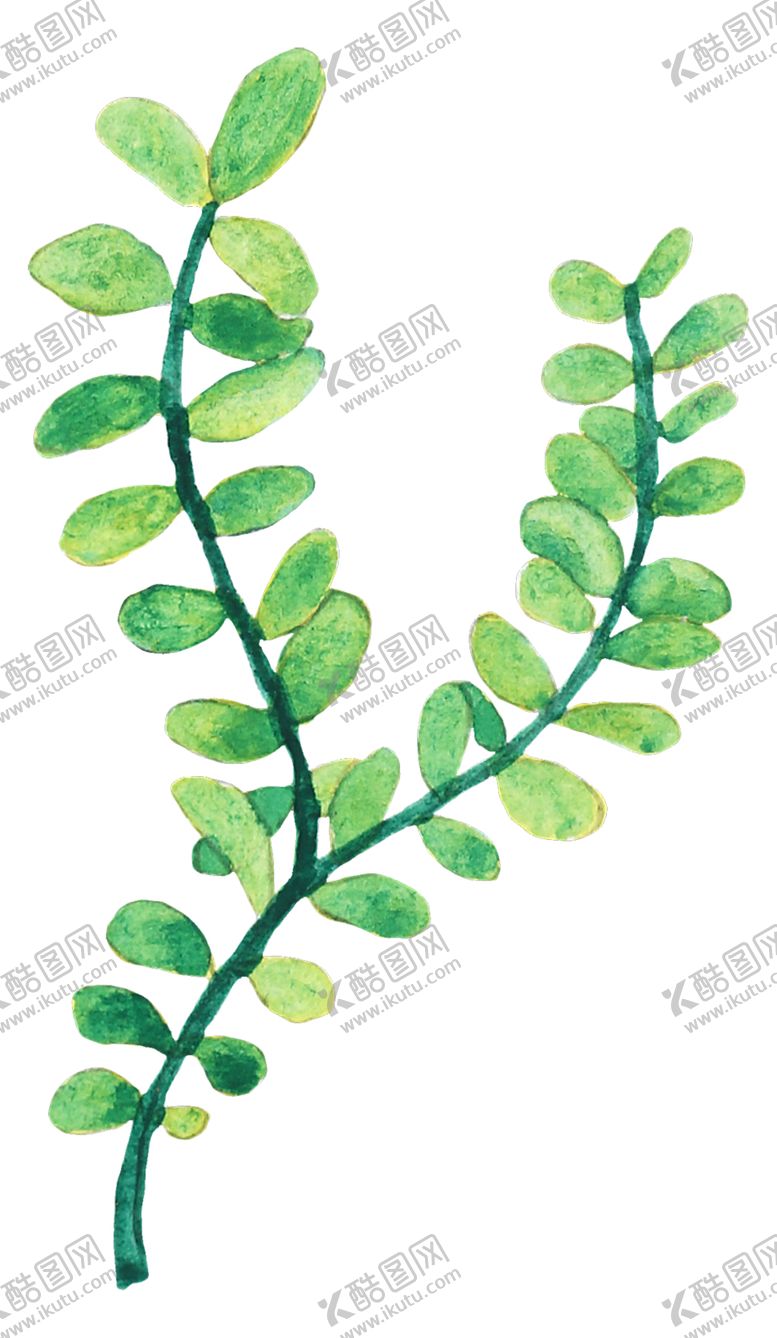 编号：46100610050412108265【酷图网】源文件下载-清新水彩植物树叶插画