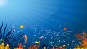 海底世界