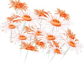 花素材