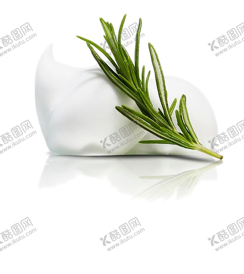 编号：26056610021712308677【酷图网】源文件下载-绿色植物