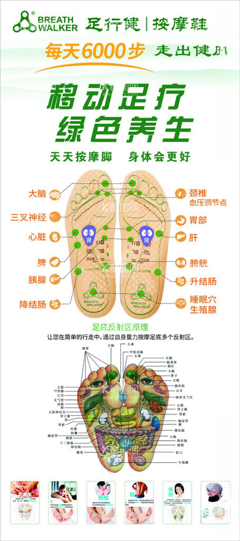 编号：99446511290951341580【酷图网】源文件下载-足行健按摩鞋