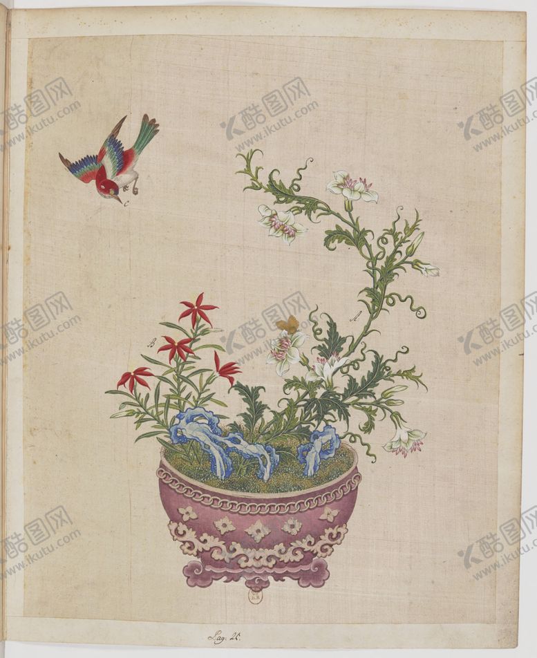 编号：42225307050432017824【酷图网】源文件下载-盆景花鸟