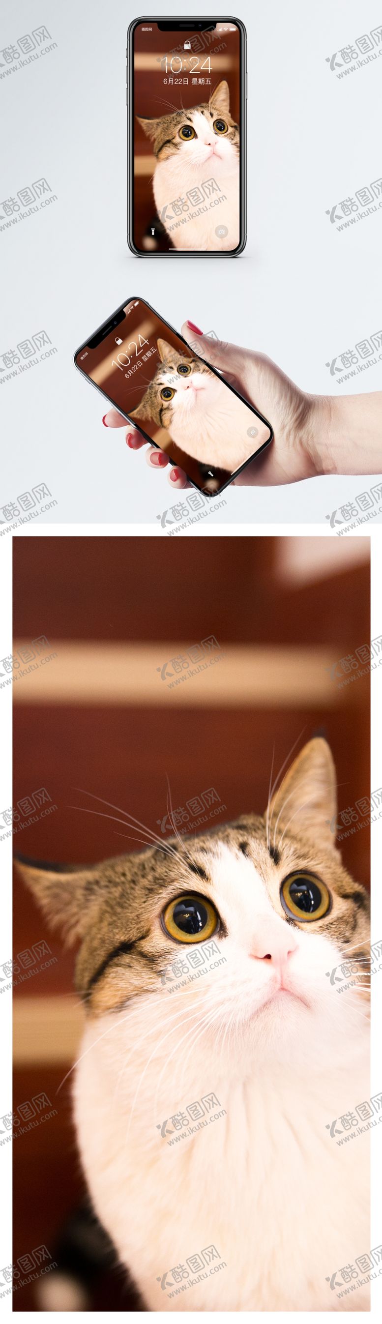 编号：45609910020738012687【酷图网】源文件下载-手机壁纸