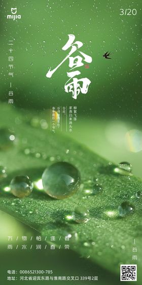 二十四节气海报谷雨海报