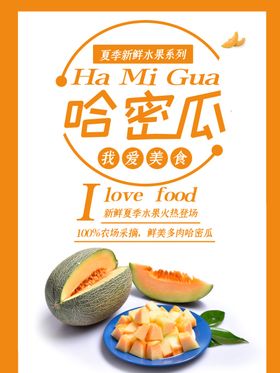 哈密瓜海报
