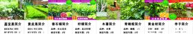 植物简介