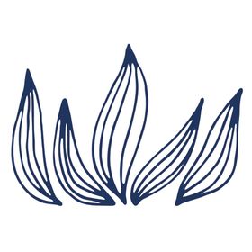 手绘海洋生物