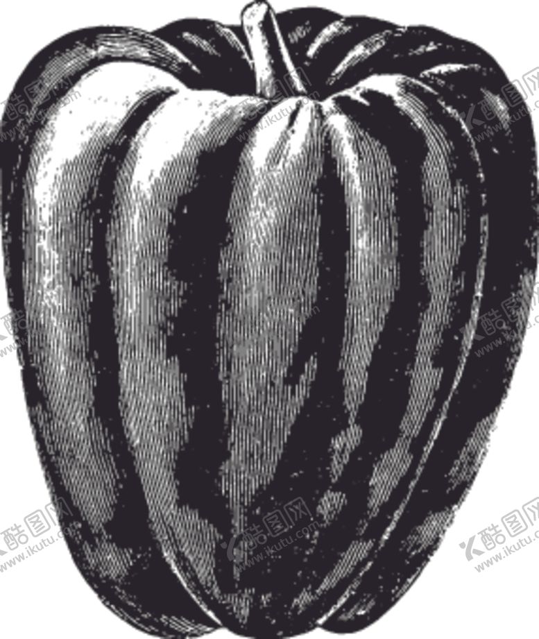 编号：97157009200938055757【酷图网】源文件下载-素描手绘蔬菜