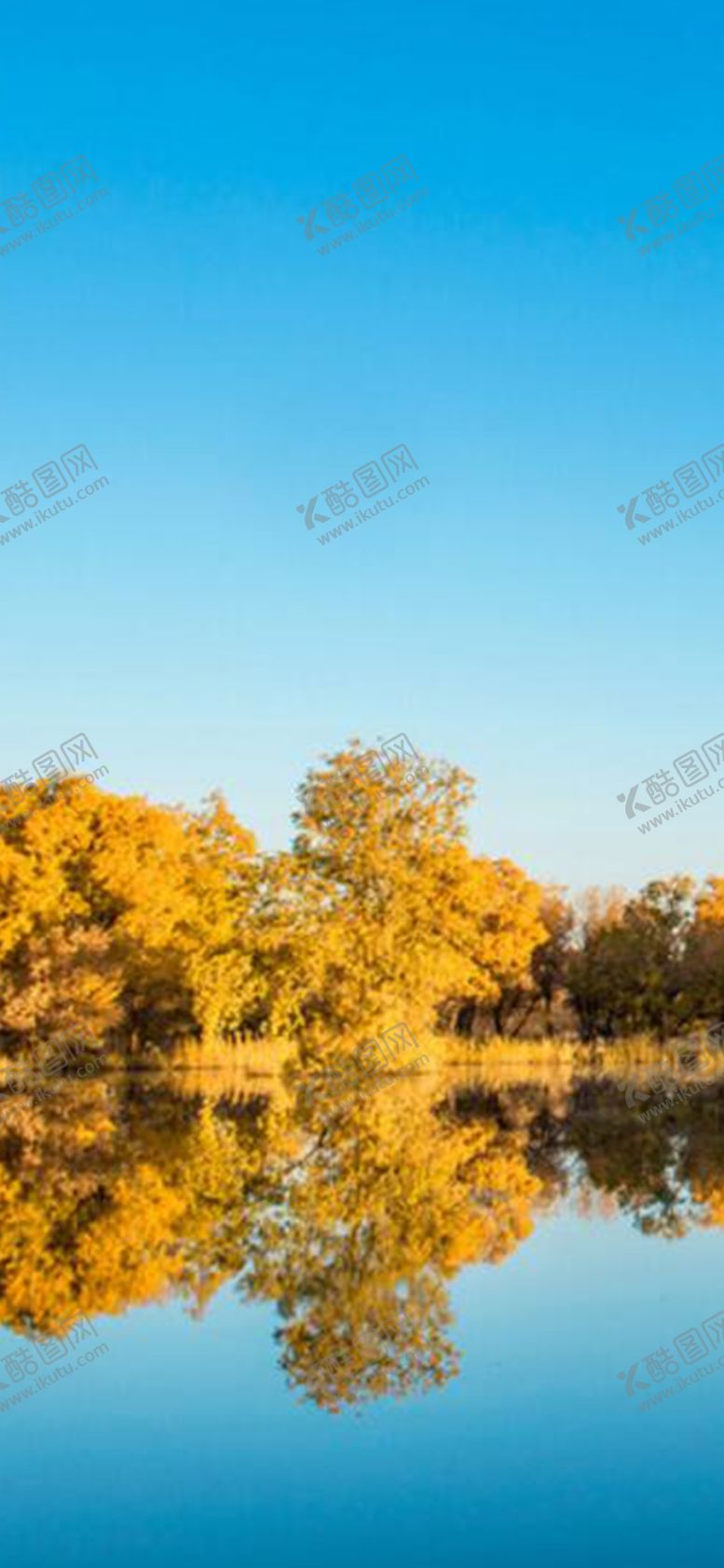 编号：18060909180436107410【酷图网】源文件下载-手机壁纸