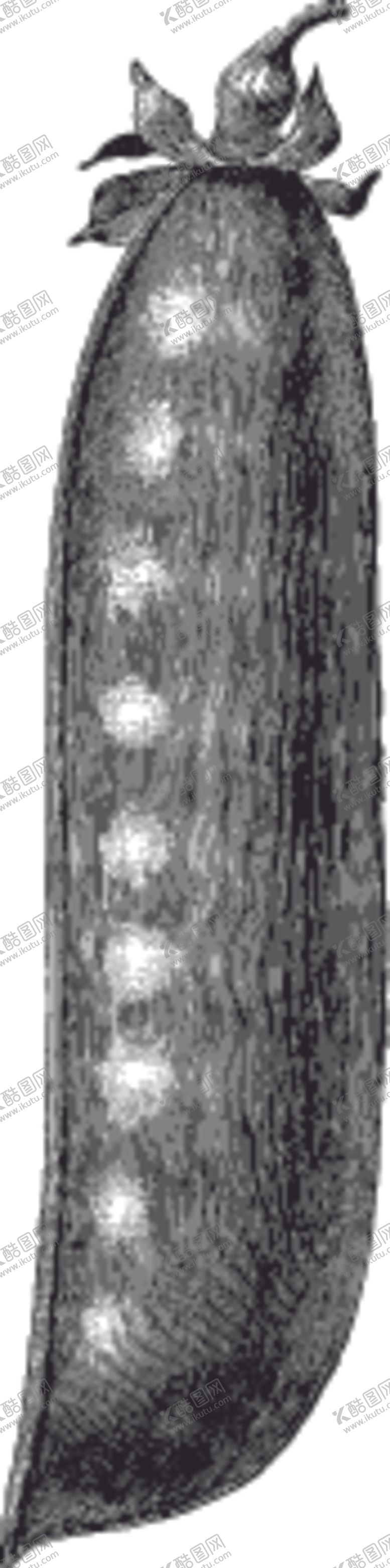 编号：20207509291543411548【酷图网】源文件下载-素描手绘蔬菜