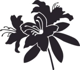 花卉系列花芯