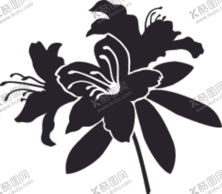 编号：88638510181609235752【酷图网】源文件下载-花卉系列百合花