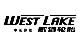威狮轮胎名片
