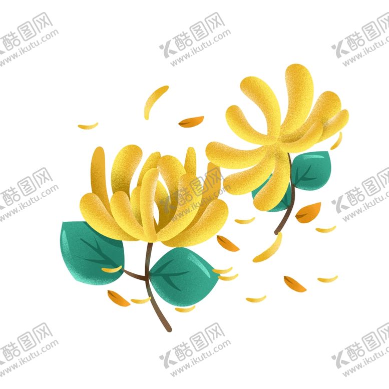 编号：39729110190919452650【酷图网】源文件下载-菊花