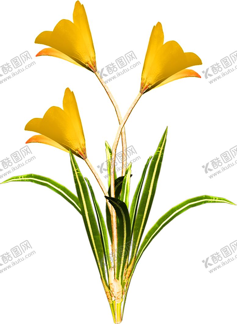 编号：95337610231124311396【酷图网】源文件下载-鲜花装饰
