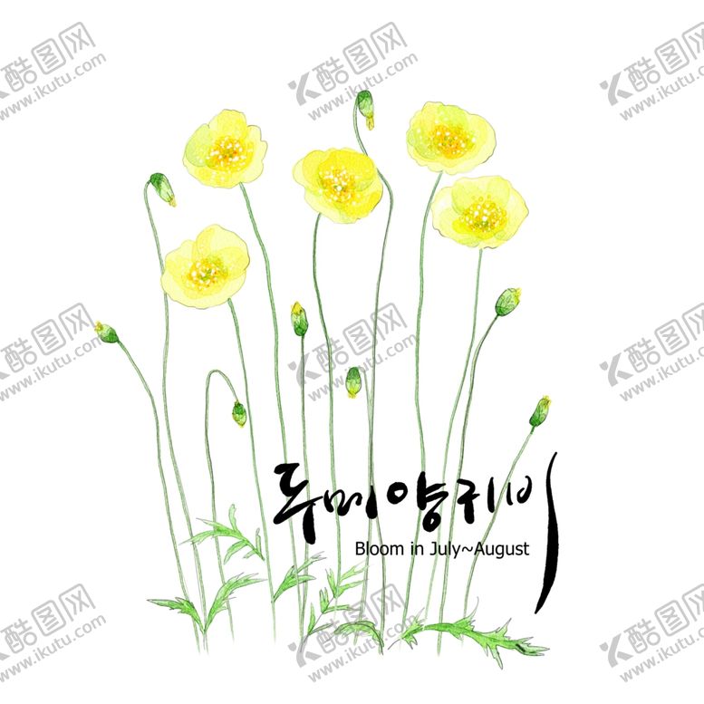 编号：68622509291421117342【酷图网】源文件下载-黄色水彩花朵PSD素材