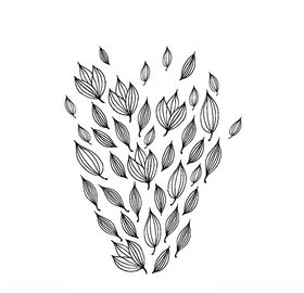 黑白简约线条植物绘画
