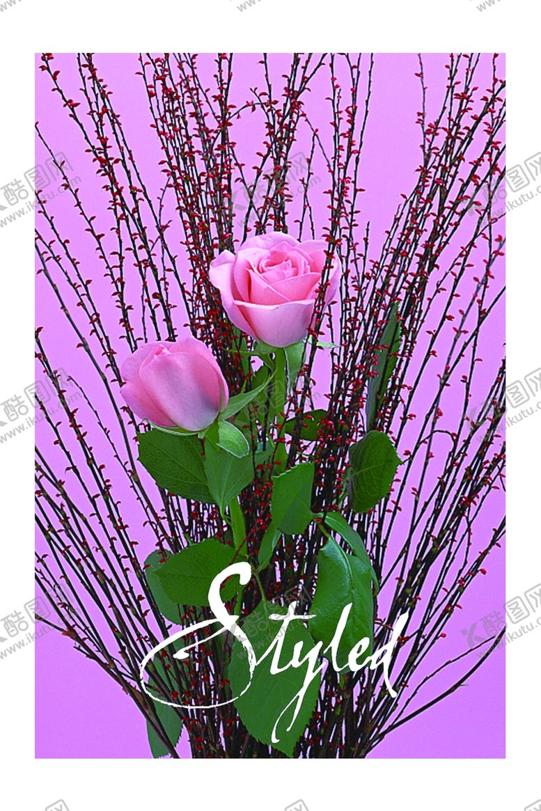 编号：83950409192100372325【酷图网】源文件下载-花卉装饰画