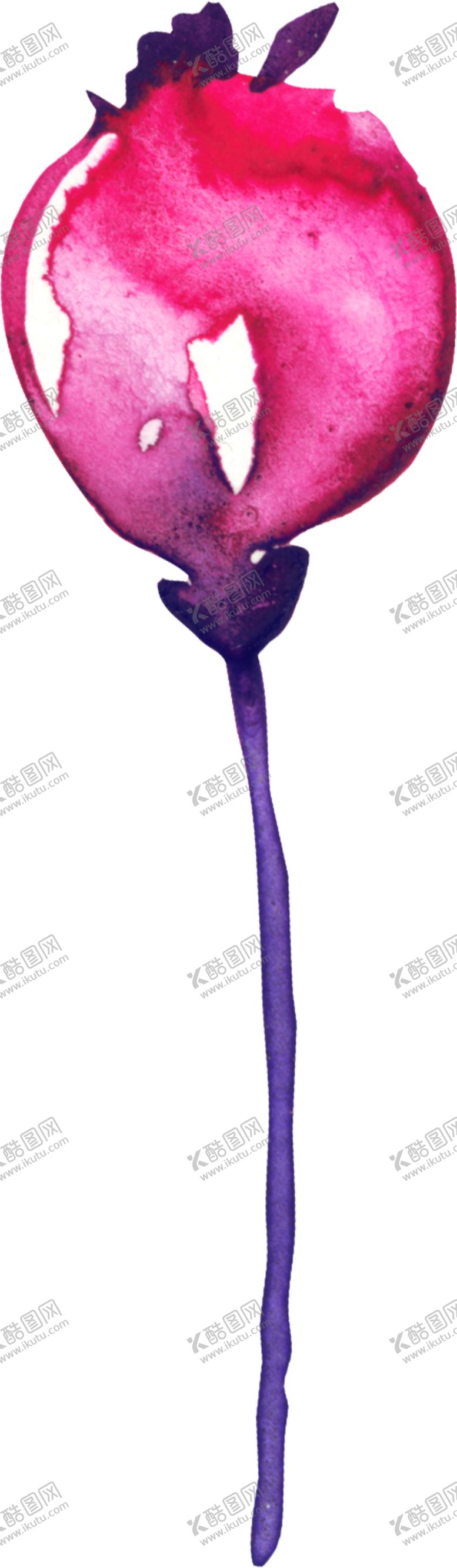 编号：71930209150011025694【酷图网】源文件下载-水彩手绘花卉花朵植物